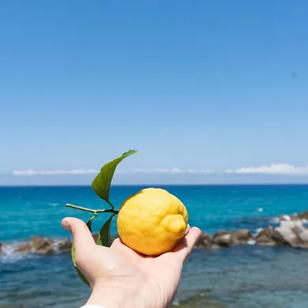 Pettinato Affittacamere Pizzo (Calabria)