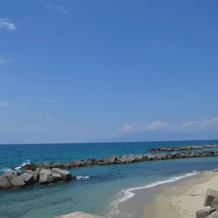Pettinato